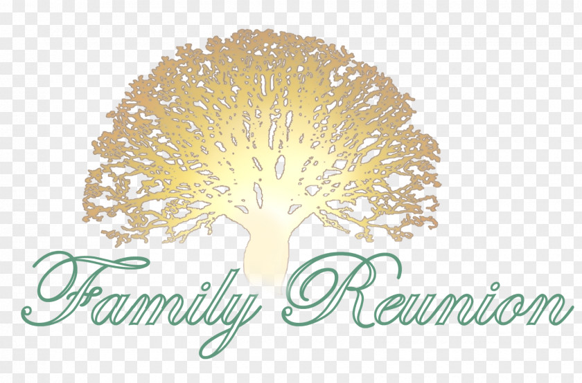 Family Tree United States Reunion Genealogy Reunions Magazine PNG