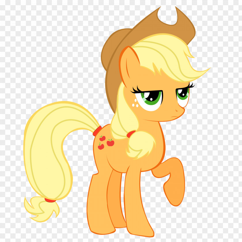 My Little Pony Applejack Pinkie Pie Fluttershy Rarity Rainbow Dash PNG
