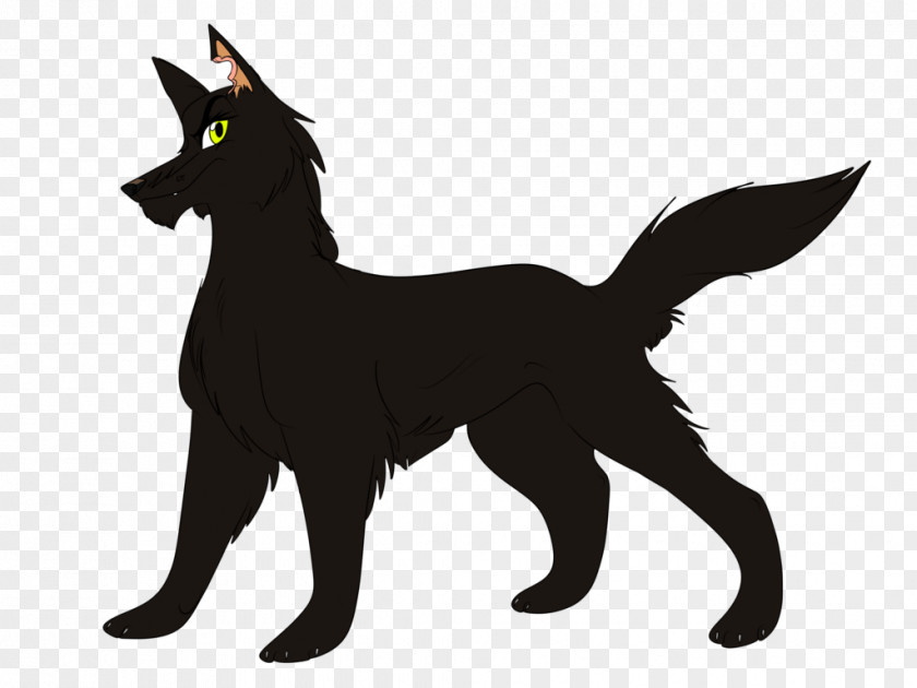 Solid Brown Background Black Schipperke Whiskers Dog Breed Cat Character PNG