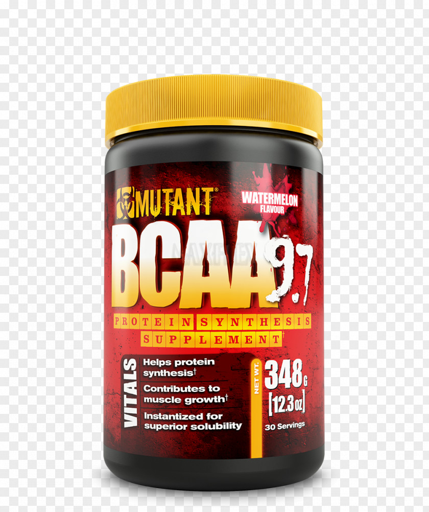 Bcaa Branched-chain Amino Acid Dietary Supplement Muscle Branching PNG