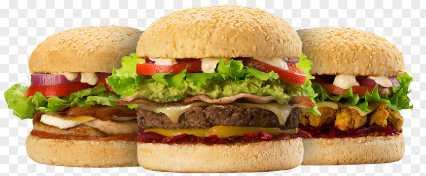 Burger Fries Cheeseburger Hamburger Whopper Slider Buffalo PNG