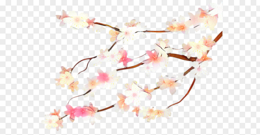 Twig Plant Cherry Blossom Cartoon PNG