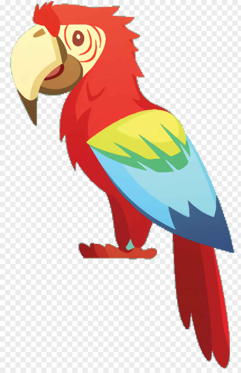 Wing Macaw Bird Parrot PNG