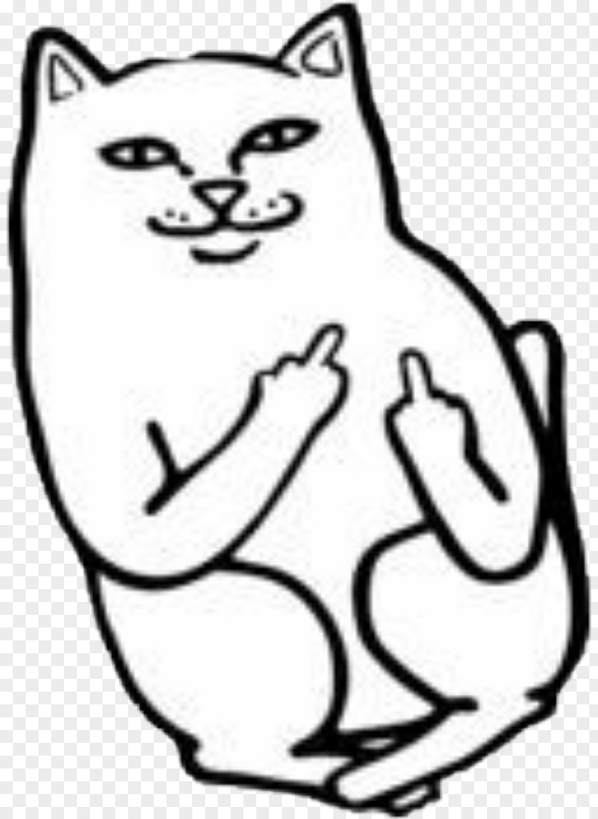 Cat Middle Finger The Image PNG