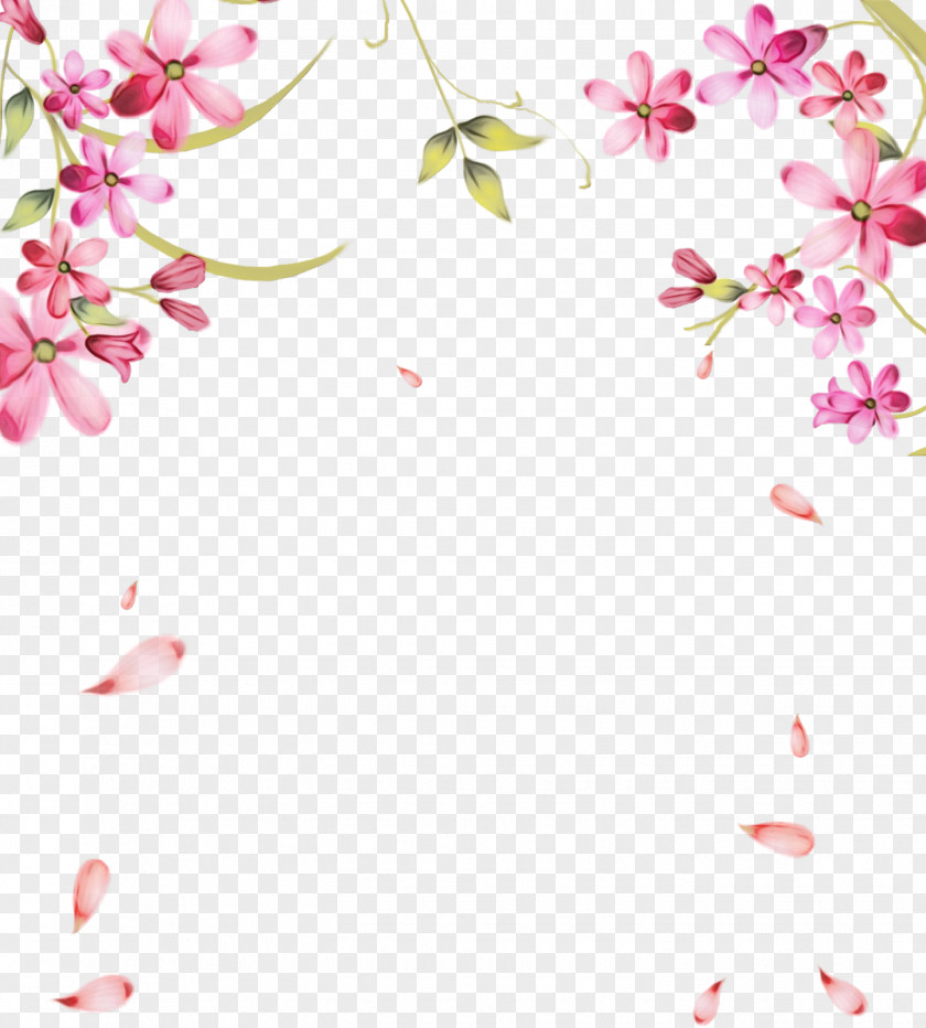 Cherry Blossom Spring Background Womens Day PNG