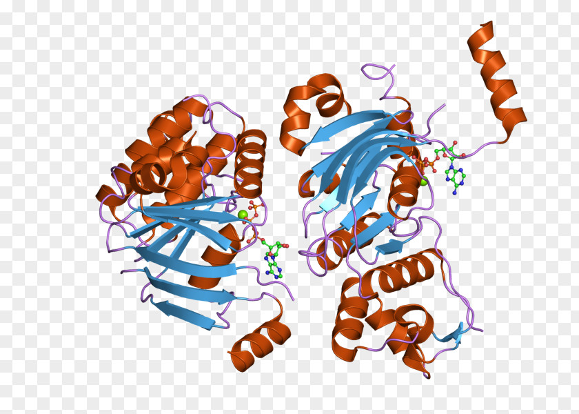 Cystic Fibrosis Transmembrane Conductance Regulator ΔF508 Gene Membrane Protein Chloride Channel PNG