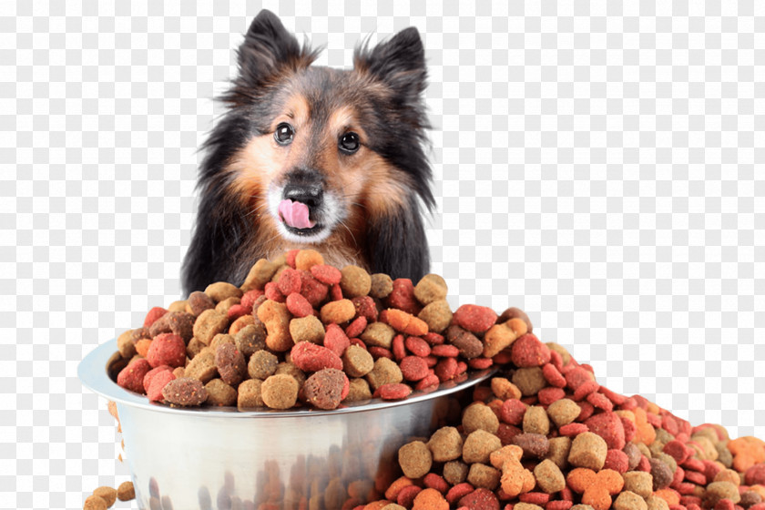 Dog Food Cat Nutrient Pet Shop PNG