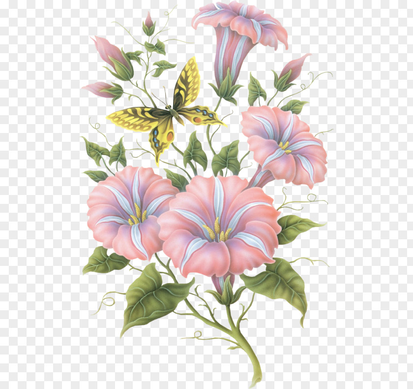 Flower Watercolour Flowers Floral Design Paper Drawing PNG