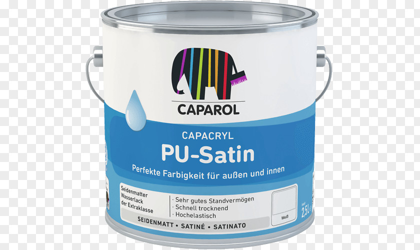 Satin Polyurethane Acrylic Paint Pigment PNG