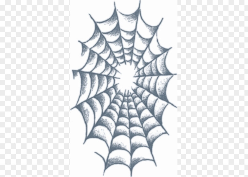Spider Web Tattoo Drawing Design PNG