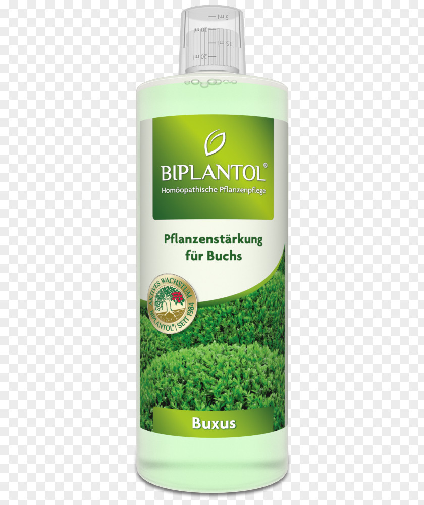 1000 300 Buxus Sempervirens Liter Plants Pflanzenstärkungsmittel Homeopathy PNG