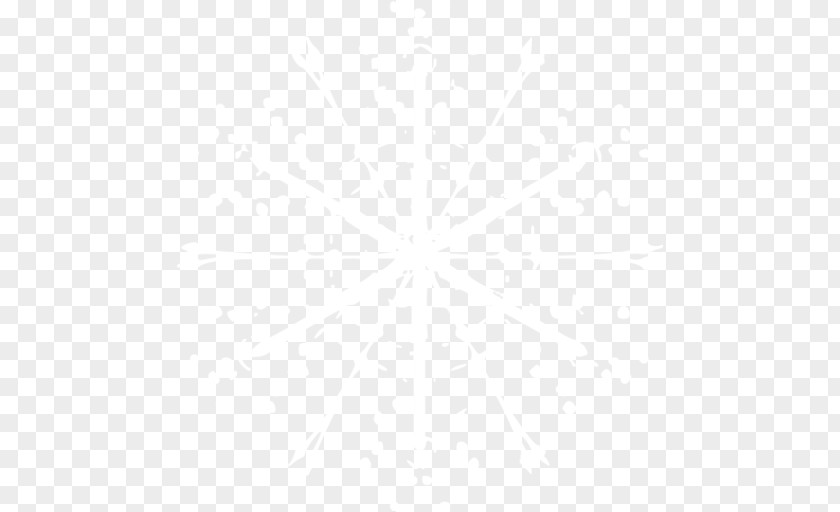 Snowflake Image PNG