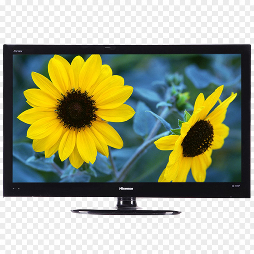 4-core CPU Dual-channel Stereo LCD TV Common Sunflower Nature Yellow Wallpaper PNG