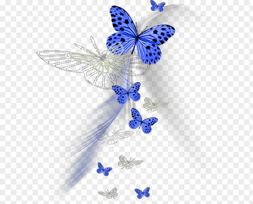 Butterfly Centerblog Clip Art Image PNG