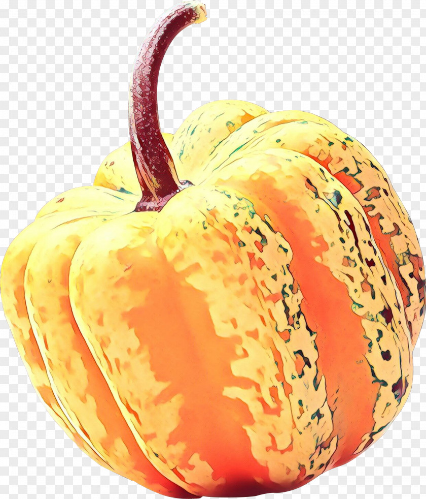 Cucurbita Nightshade Family Vegetable Cartoon PNG