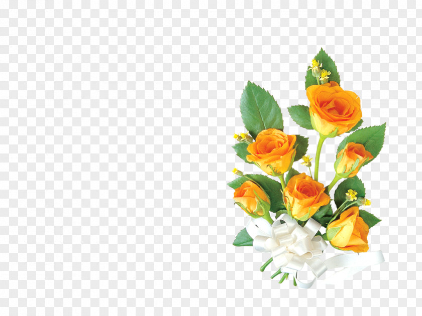 Floral Cut Flowers Rose Design PNG