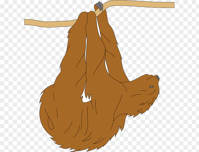 Fur Sloth Public Domain Clip Art PNG