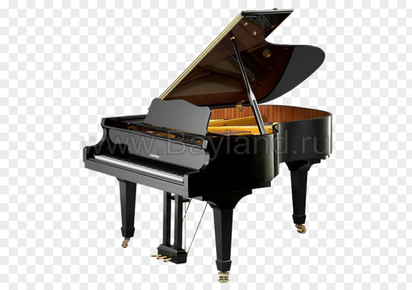 Piano Grand Blüthner C. Bechstein Yamaha Corporation PNG