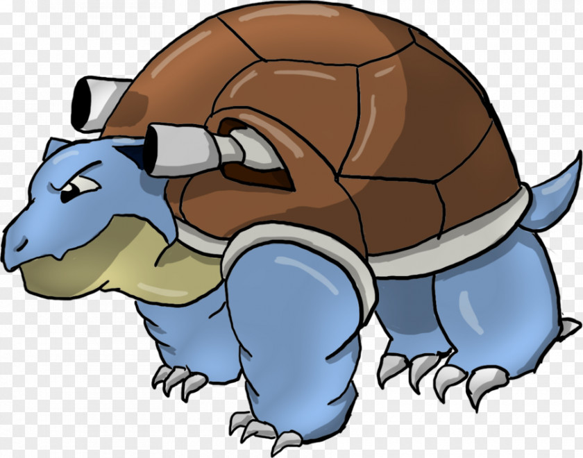 Turtle Tortoise Armadillo Sea Clip Art PNG