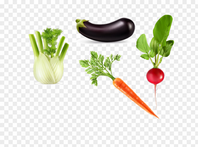Vector Eggplant Carrot Vegetable Auglis Asparagus PNG