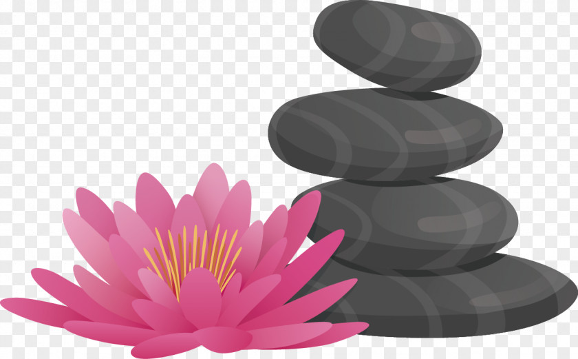 Vector Hand-painted Stones And Lotus Day Spa Blue Color PNG