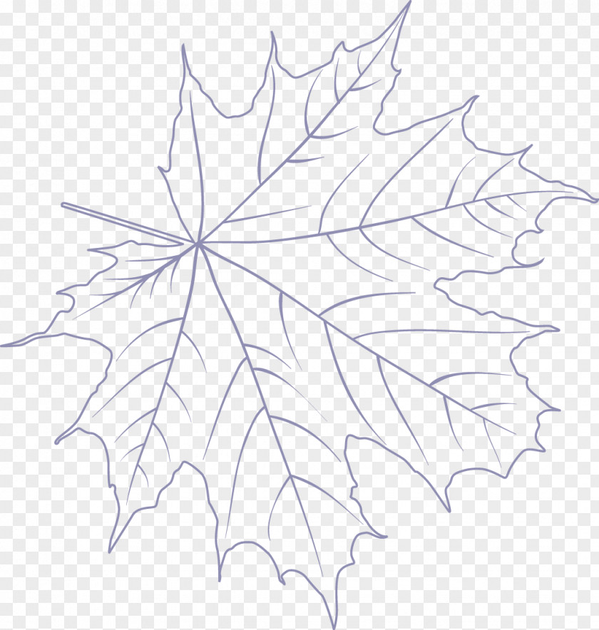 Autumn Leaf Color Maple /m/02csf Drawing Symmetry Line Art PNG