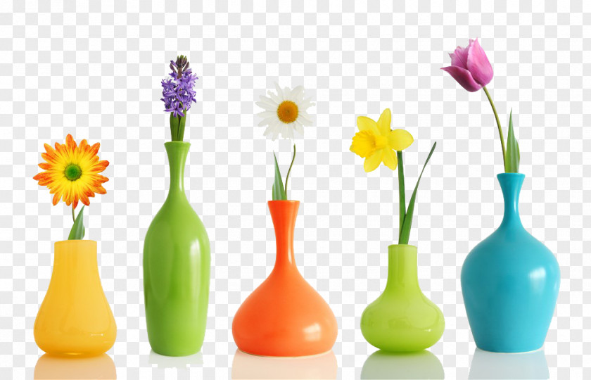 Different Colors And Flower Vase High-definition Television 4K Resolution Wallpaper PNG