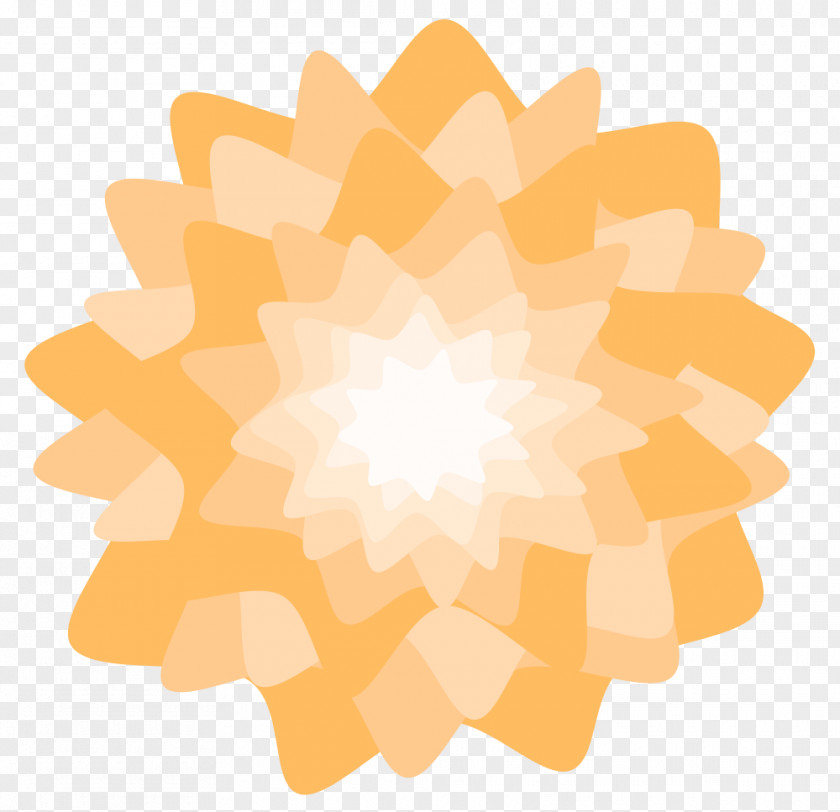 Flower Orange Blossom Petal Clip Art PNG