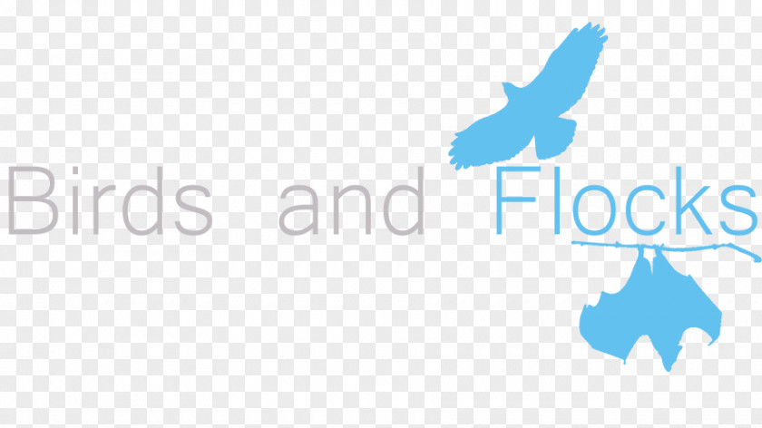 Nexus Mods Logo The Elder Scrolls V: Skyrim Brand Bird PNG