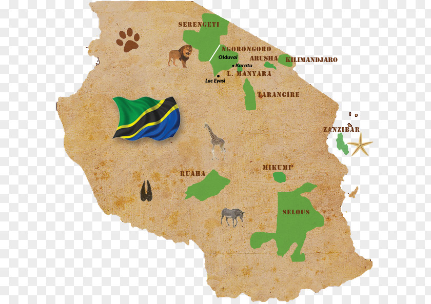 Safari Serengeti Ngorongoro Conservation Area Arusha Selous Game Reserve Maasai Mara PNG