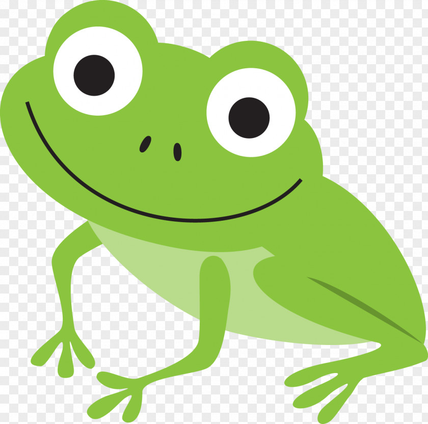 Amphibian Frog Drawing Clip Art PNG