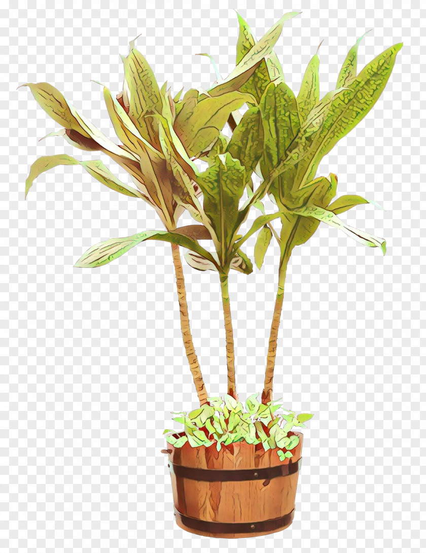 Houseplant Flowerpot Plant Stem Tree Herb PNG