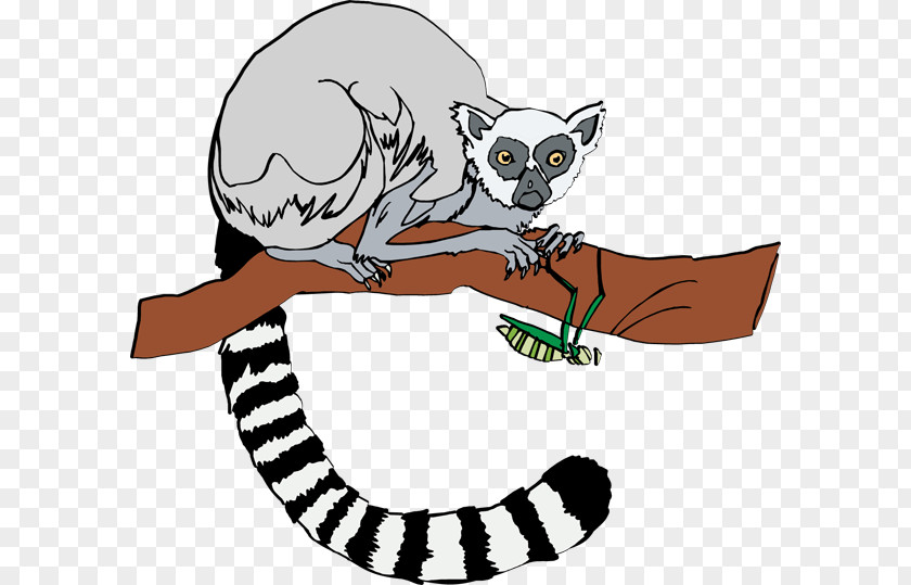 Lemur Cliparts Ring-tailed Free Content Clip Art PNG