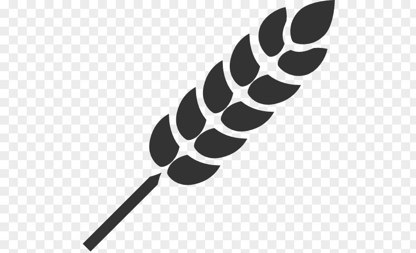 Wheat The Noun Project Cereal Icon PNG Icon, , leaf illustration clipart PNG