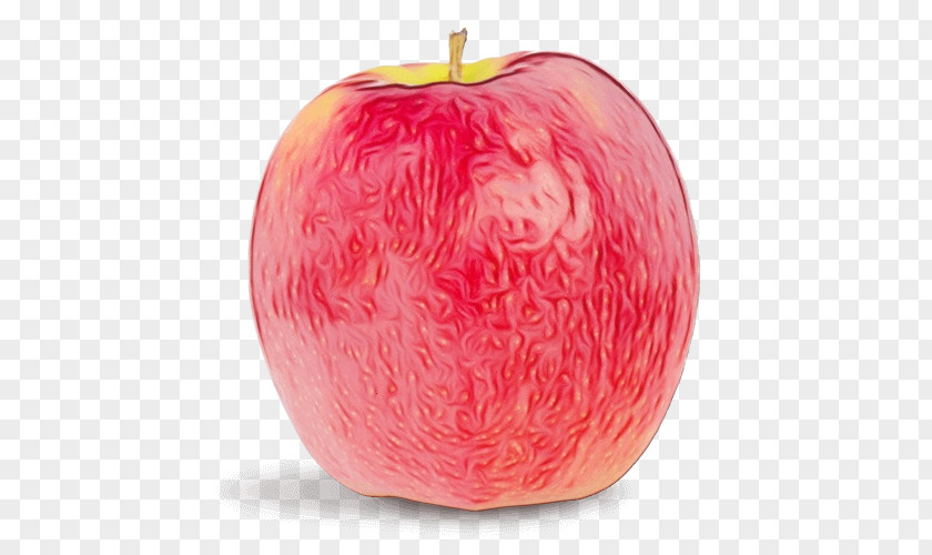 Apple PNG