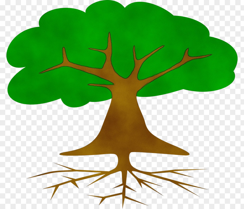 Houseplant Flower Tree Trunk Drawing PNG