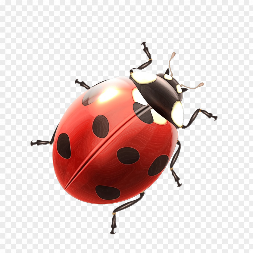 Jewel Bugs Red Ladybug PNG