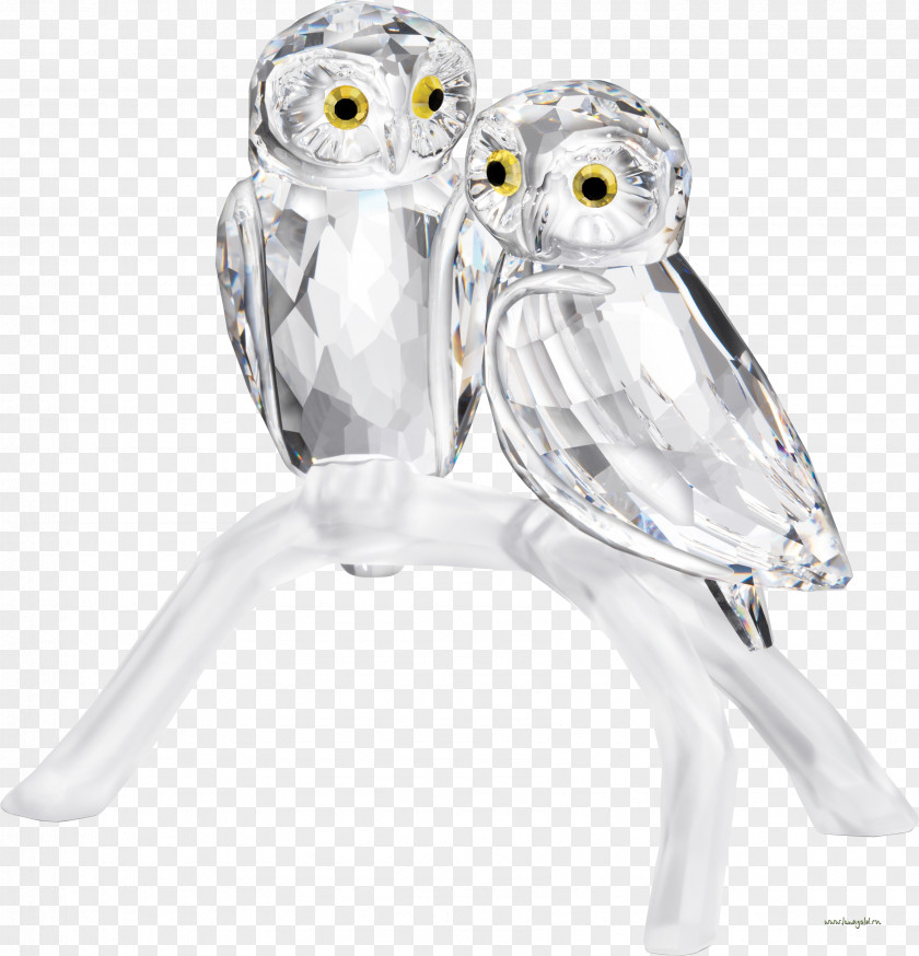 Owls Swarovski AG Crystal Owl Bird PNG