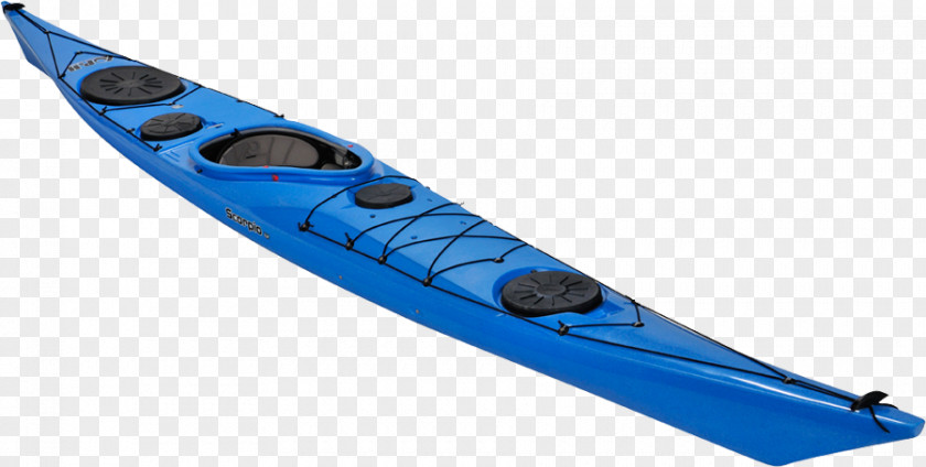 Sea Kayak Boat Paddling Paddle PNG