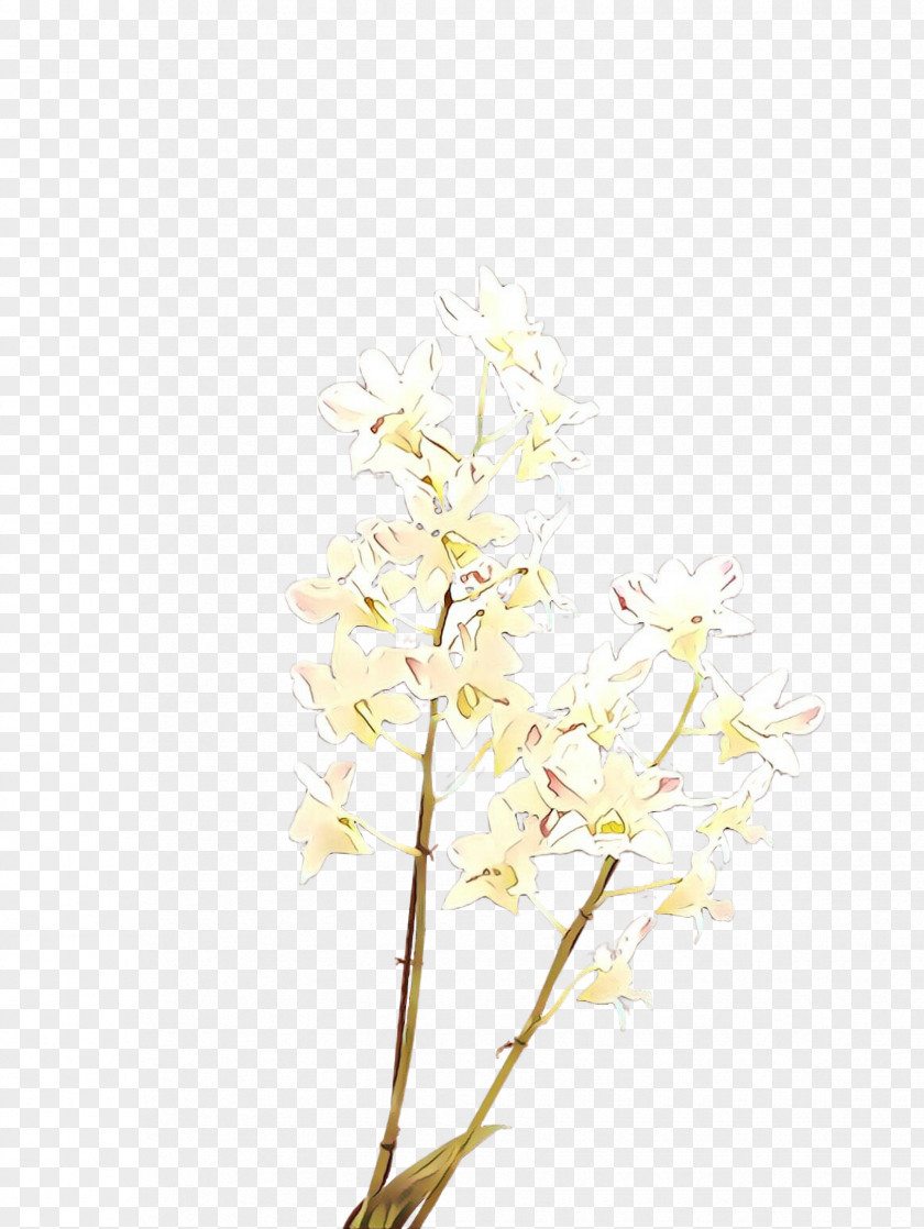 White Flower Branch Plant Twig PNG