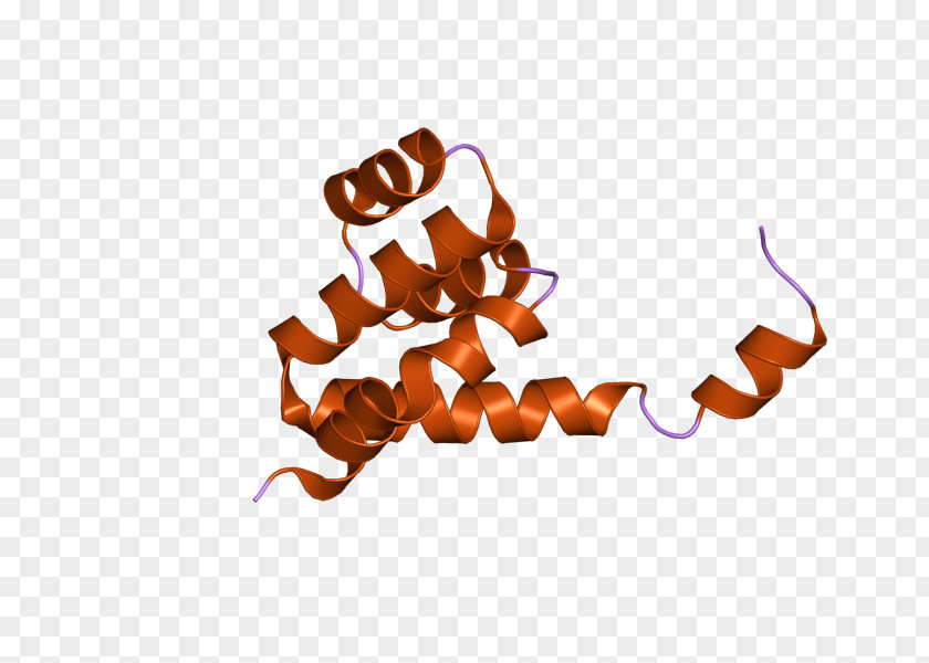 Computer NOD1 Desktop Wallpaper Protein Receptor Clip Art PNG