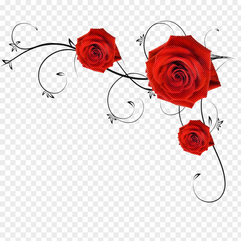 Garden Roses PNG