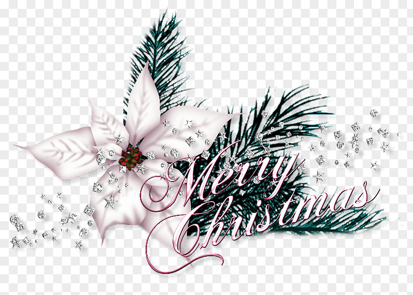 Christmas Ornament PNG