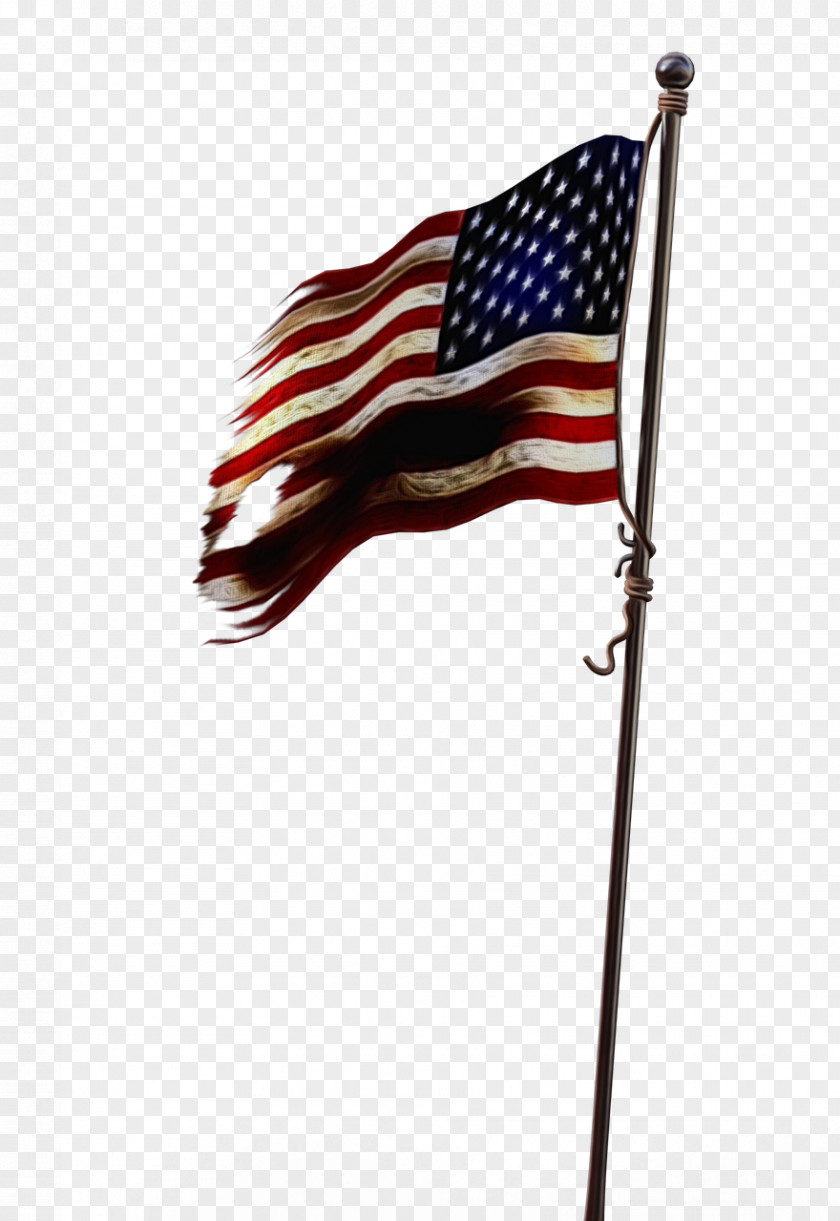 Flag Of The United States PNG