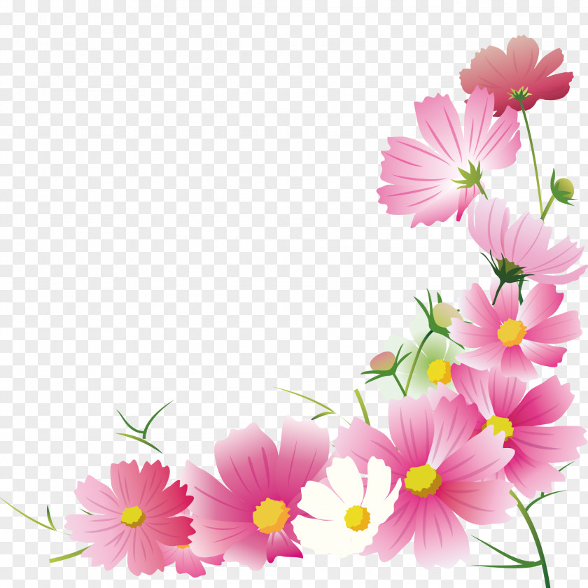 Flowers Of Season Garden Cosmos Flower Floral Design Illustration Autumn PNG