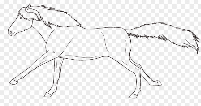 Lineart Mule Foal Bridle Stallion Colt PNG