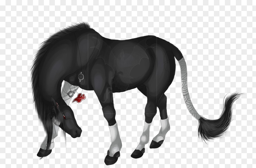 Mustang Mane Stallion Pony Mare PNG