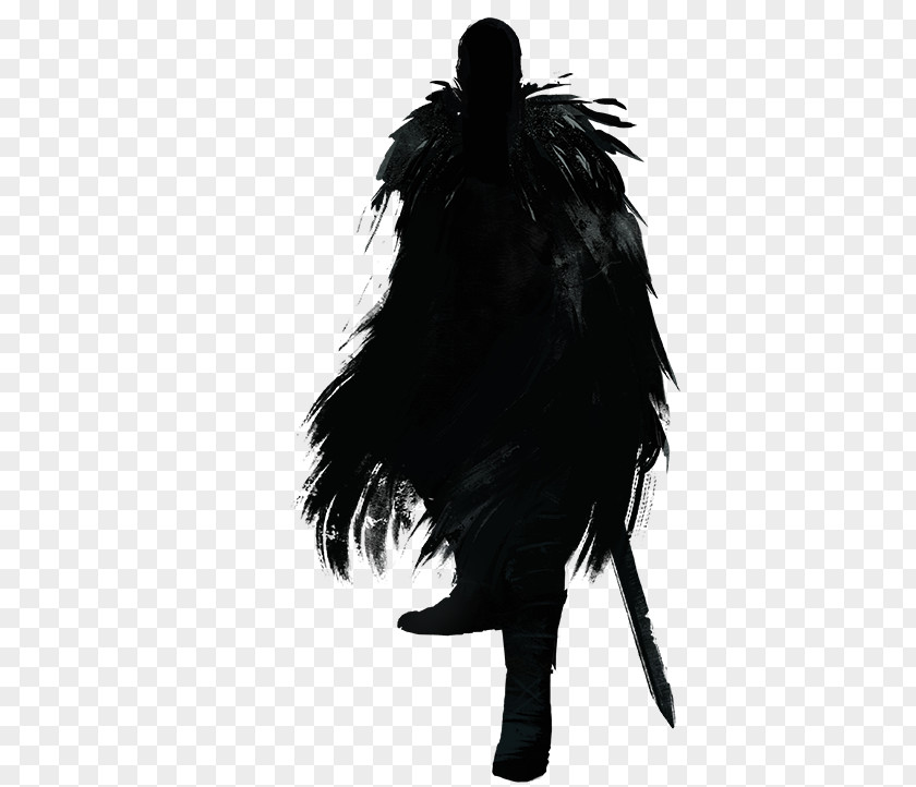 Silhouette Black M White Feather PNG