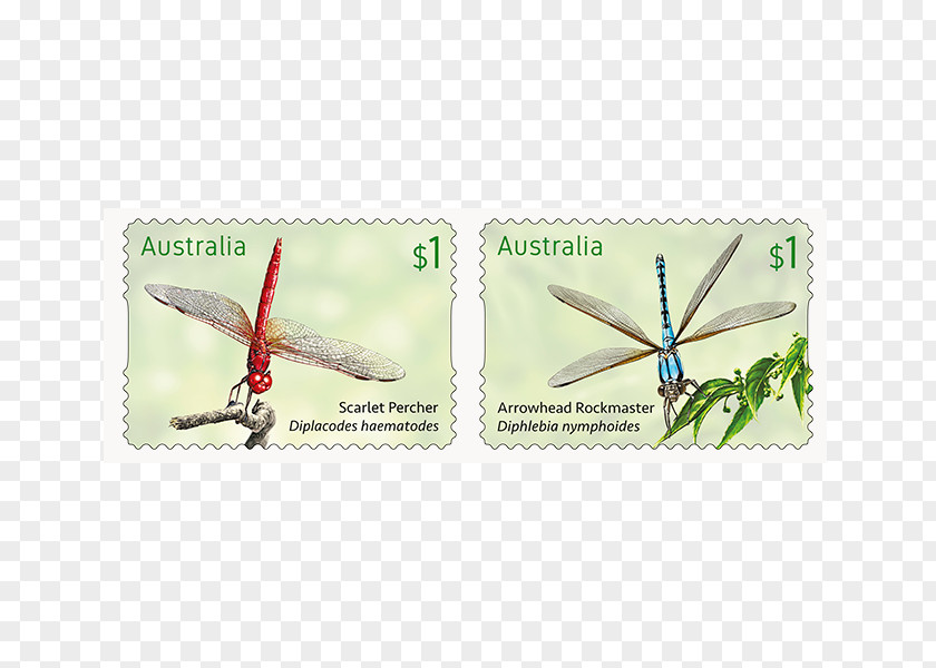 Two Adhesive Strips Postage Stamps Dragonfly Insect Max Stern & Co PNG