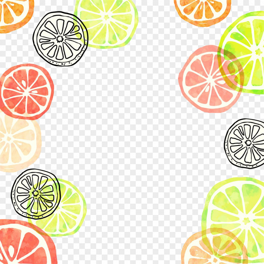 Color Orange Slice Summer Clip Art PNG